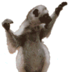 Lemur Three